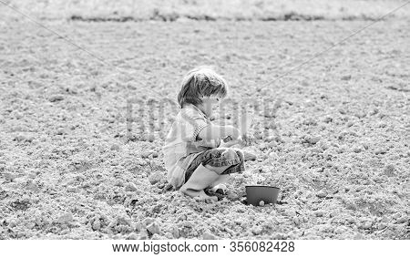 Small Kid Planting A Flower. Earth Day. New Life. Summer Farm. Happy Child Gardener. Botanic Worker.