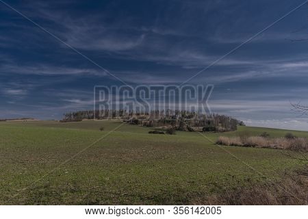 View For Landscape With Cut Down Forests After Bark Beetle
