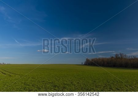 Blue Sky With White Clouds And Green Field With Tree Stand