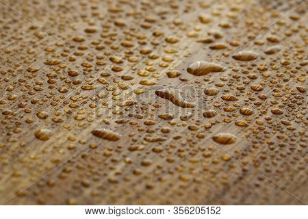 Naturally Oak Tree With Water Droplets Coated With An Oleophobic Composition Close-up Background. Pr