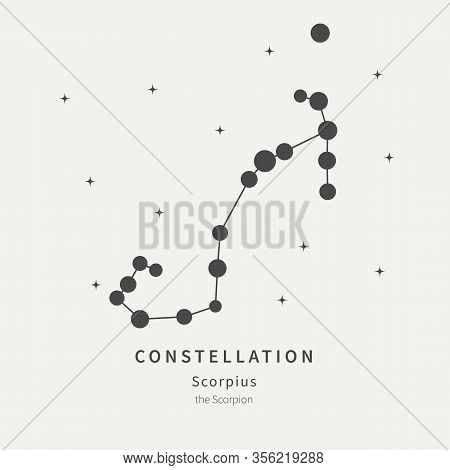 The Constellation Of Scorpius. The Scorpion - Linear Icon. Vector Illustration Of The Concept Of Ast