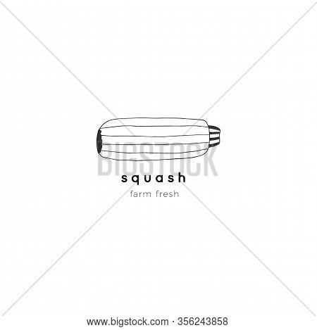 Vector Isolated Sguash Icon. Hand Drawn Vegetables. Healthy Nutrition Vegan Recipes.