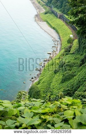 Botanical Garden Georgia, Batumi. Black Sea Panoramic Georgia.