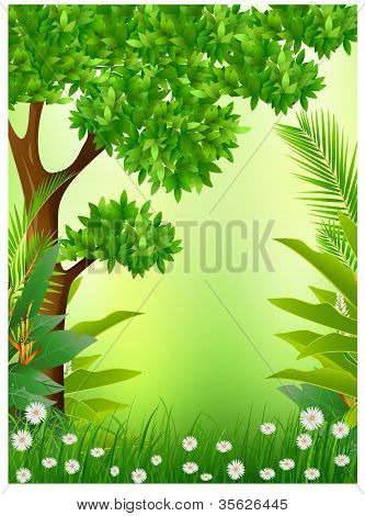 tropical forest background