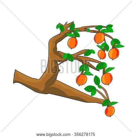 Apples On Tree Branch With Green Leaves Isolated On White Background. Cartoon Style Drawing Of Hangi