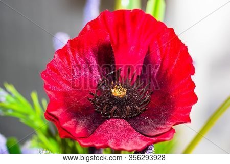 Close Up Of Decorative Artifical Poppy Flower.