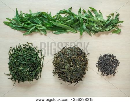 Stages Of Production Of Fermented Tea Leaves. Fermented Ivan-tea.