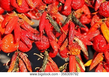 Dry Peppers: Pimientos Choriceros, Dry Hot Guindilla Peppers, And Piparras-basque Green Peppers Hang