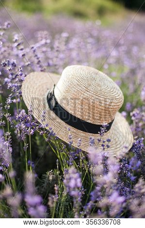 Boater Straw Hat On A Lavender Flowering Field At Sunset