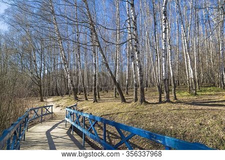 A Pedestrian Bridge Laid The Bottom Of A Small Ravine. Landscape Reserve 