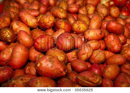 Batatas em uma pilha