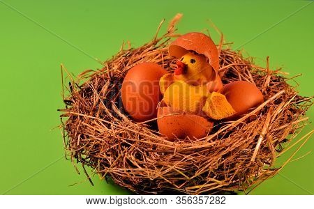 Yellow Chicken Hatched From An Egg In A Straw Nest