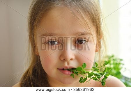 Happy Girl Eats Pea Microgreen .vegeterian Concept.good Appetite. Spring Avitaminosis.sprout Vegetab