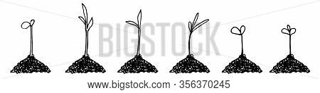 Seedlings In Hand Drawn Doodle Style. Garden Vector Illustration. Isolated On White.