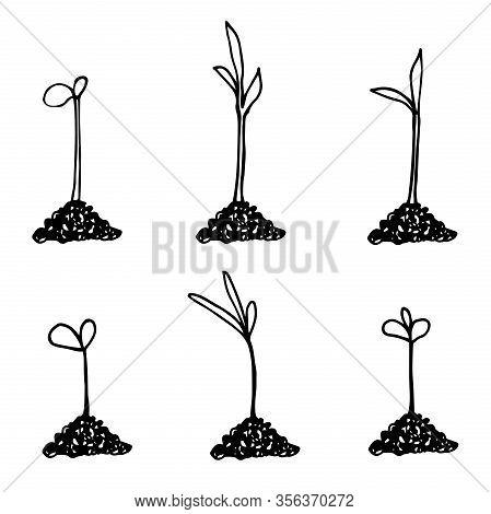 Seedlings In Hand Drawn Doodle Style. Garden Vector Illustration. Isolated On White.