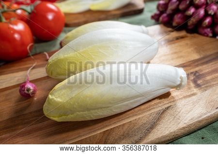 Fresh Belgian Endive Or Chicory Bitter Salad Ready To Cook Or Eat Close Up