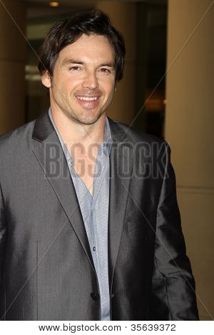 LOS ANGELES - AUG 2: Jason Gedrick anländer på Hallmark Channel TCA Press Tour 2012 på Beverly H