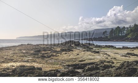 Beautiful Nature On Vancouver Island In Canada