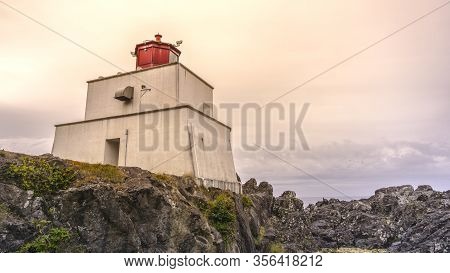 Beautiful Nature On Vancouver Island In Canada