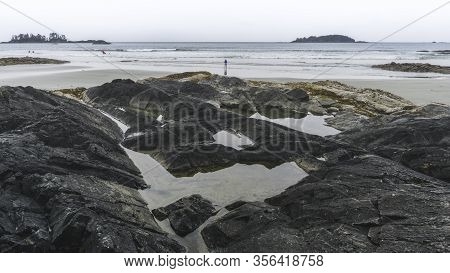 Beautiful Nature On Vancouver Island In Canada