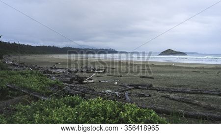 Beautiful Nature On Vancouver Island In Canada
