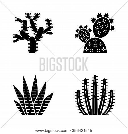Wild Cactus Glyph Icons Set. Green Succulents. Exotic Mexican Flora. Chola, Prickly Pear, Zebra Cact