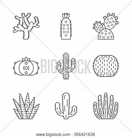 Wild Cactuses Linear Icons Set. South American Tropical Flora. Succulents. Spiny Plants. Cacti Colle