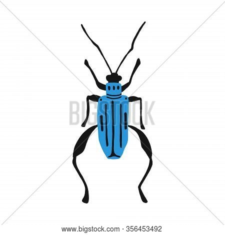 Vector Illustration Of A Hand Drawn Garden Ground Beetle .flat Design. Insect Isolated On A White Ba