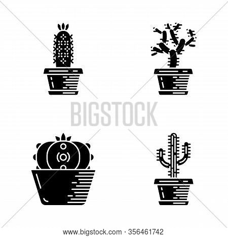 Home Cacti In Pot Glyph Icons Set. Succulents. Teddy Bear Cholla, Peyote, Saguaro, Hedgehog Cactus. 