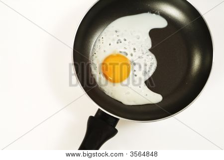 Egg In A Fryer
