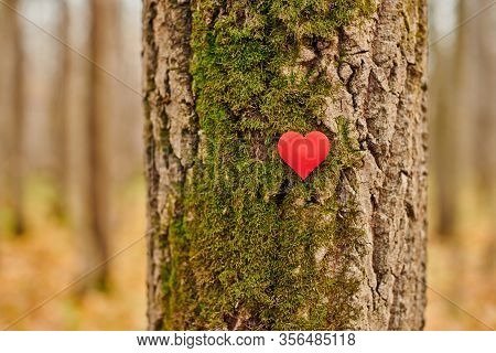 Heart On Tree. Save Forest And Nature. Environment Protection Symbol, Copy Space. Deforestation Or A