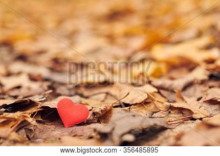 Heart On Autumn Leaves. Infatuation, One-sided Romantic Love Concept. Symbol Of Unrequited Love Vict