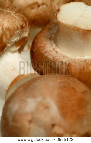 Gomba