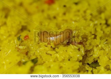 Close Up Food Photograph Of An Indian Rice Dish, Vegetarian Cashew Pulao Background. Concept For Ind