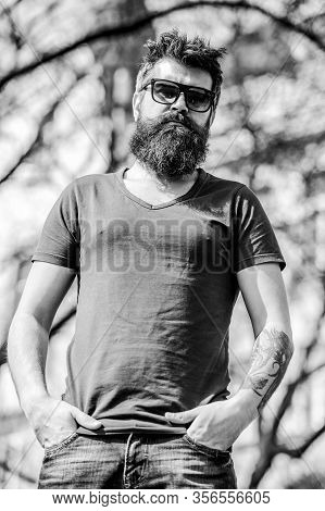 Man Bearded With Sunglasses Nature Background. Bearded Man Wear Modern Fashionable Sunglasses. Hipst