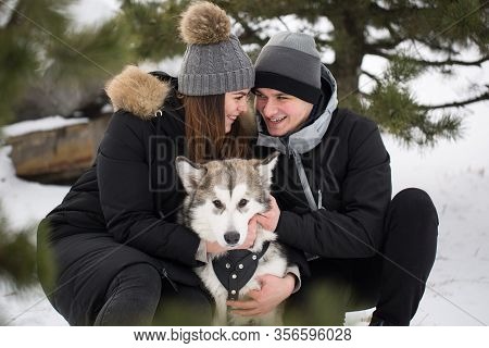 Beautiful Family, A Man And A Girl In Winter Forest With Dog. Play With The Dog Siberian Husky.