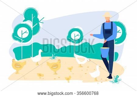 Young Man In Working Robe Feeding Poultry Chicken And Ducks. Farmer Or Villager Character At Work. W