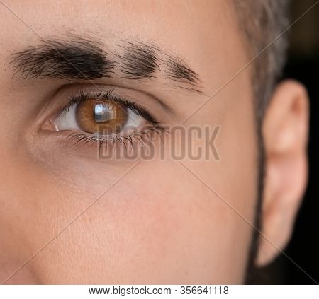 Bright Eye Look , Eyebrow With Scar, Sharp Brown Eye, Close-up Man Eye
