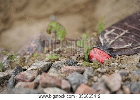Garbage Everywhere. Image & Photo (Free Trial) | Bigstock