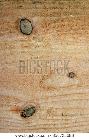 Douglas Fir, Pseudotsuga Menziesii, Tree Recently Sawn Timber Plank With Knots And Showing The Grain