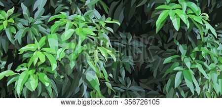 Green Background Of Thickets With Dense Lush Foliage Of A Tree. Vector Image