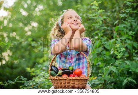 Day Dreamer. Happy Little Farmer. Autumn Harvest. Healthy Food For Children. Kid On Summer Farm. Org