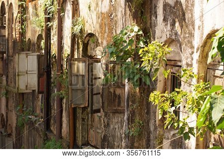 Sunny House Facade Wall Covered With Green Plants And Bushes. Old Brown Housefront, Wooden Storm Shu
