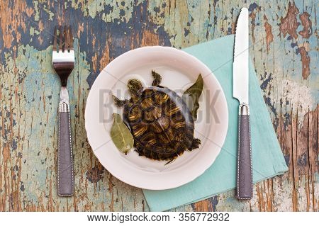 Live Turtle In A  Plate With Water And Bay Leaf And Cutlery On The Table. Imitation Of Tortoise Soup