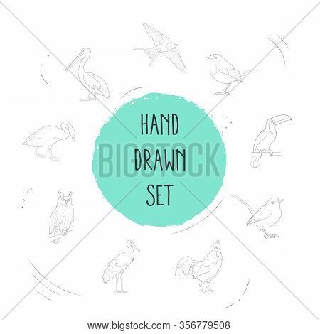 Set Of Birds Icons Line Style Symbols With Owl, Swan, Pelican And Other Icons For Your Web Mobile Ap