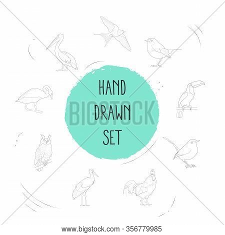 Set Of Fauna Icons Line Style Symbols With Owl, Swan, Pelican And Other Icons For Your Web Mobile Ap