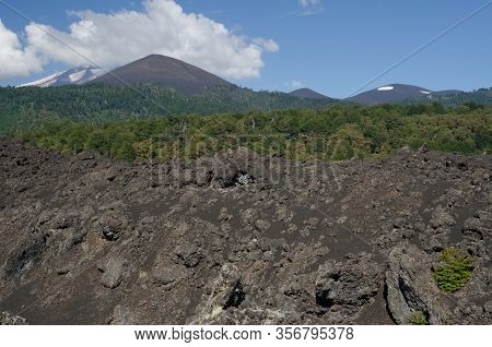 Fields Of Solidified Lava, Forest And Llaima Volcano Covered By Clouds. Conguillio National Park. Ar