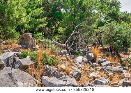 Ancient Greek City Priene On The Western Coast Of Turkey