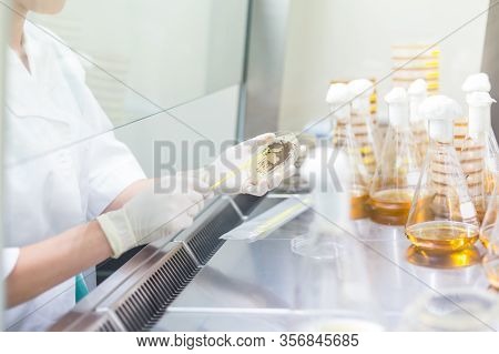 Female Scientist Working With Bacteria In Laminar Flow At Corona Virus Vaccine Development Laborator