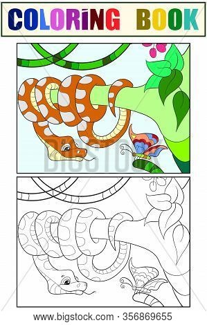 Pythonidae, Snake Resting On A Tree. Set Of Coloring Book And Color Sketch For Example.